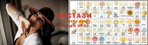 ECSTASY Ельня