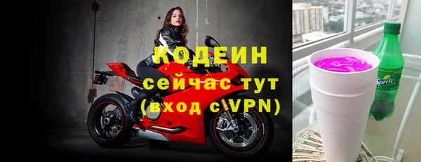 молекула духа Елабуга