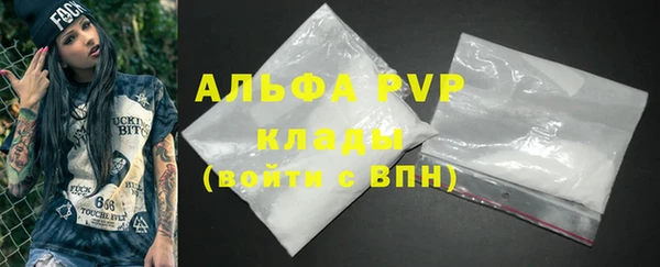 ECSTASY Ельня
