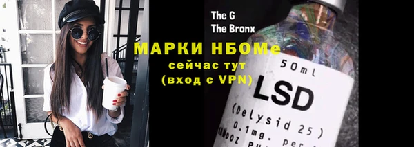 ECSTASY Ельня