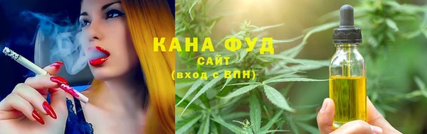 ECSTASY Ельня