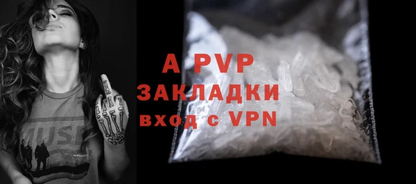 ECSTASY Ельня