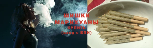 ECSTASY Ельня