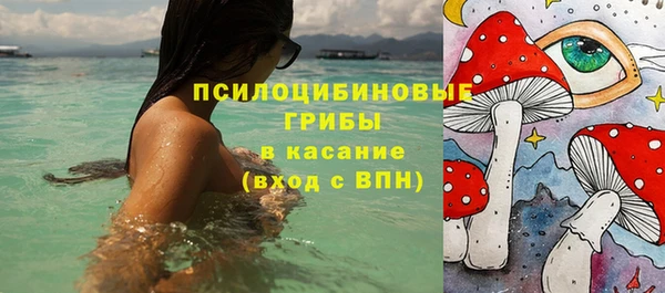 молекула духа Елабуга