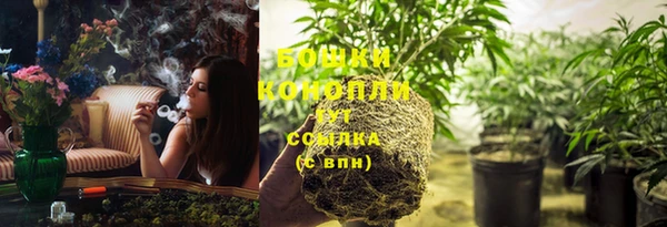 ECSTASY Ельня