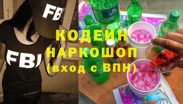 крисы Елизово