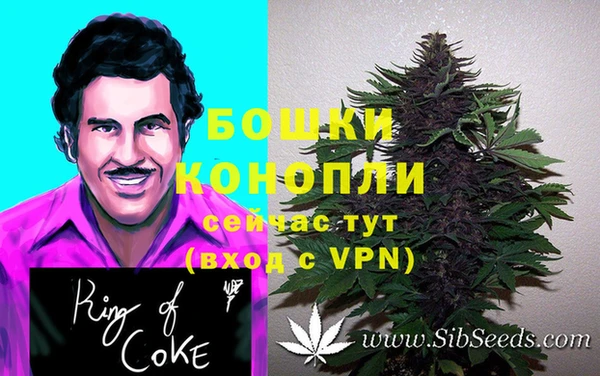 молекула духа Елабуга