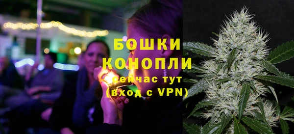 крисы Елизово