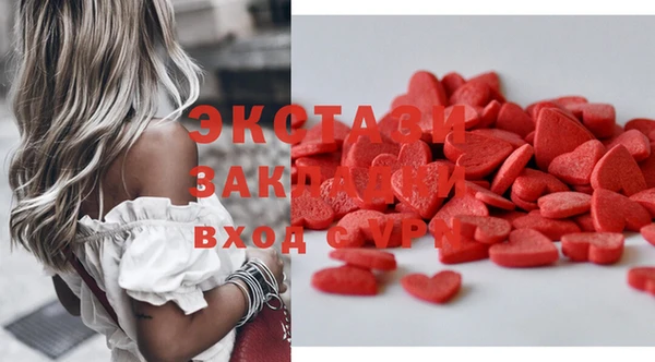 ECSTASY Ельня